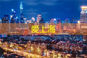 上海新茶网：夜上海，拥抱浪漫与__的无尽夜晚