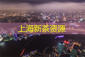 爱上海：火星旅行计划