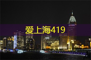 爱上海：展示了上海的城市规划与发展历程