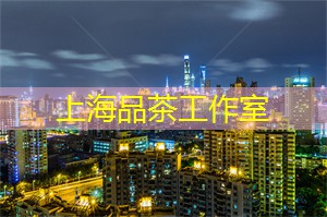 爱上海：夜上海灯光秀