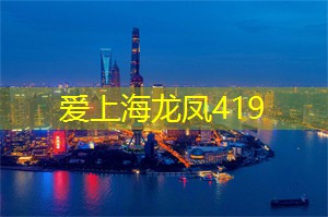 向阳而生：上海的志愿者活动